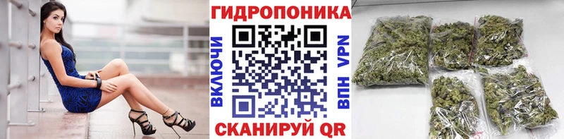 Марихуана тримм  Ессентуки 